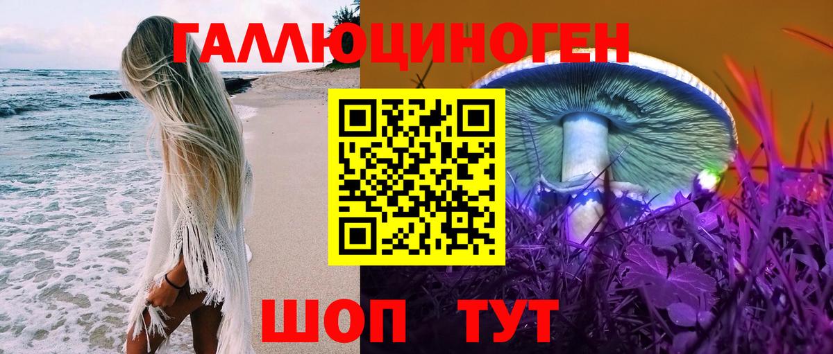 Нарткала  Галлюциногенные грибы GOLDEN TEACHER  Вход с VPN 